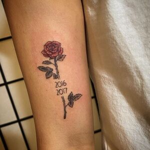 Meet your Posher, Tonia